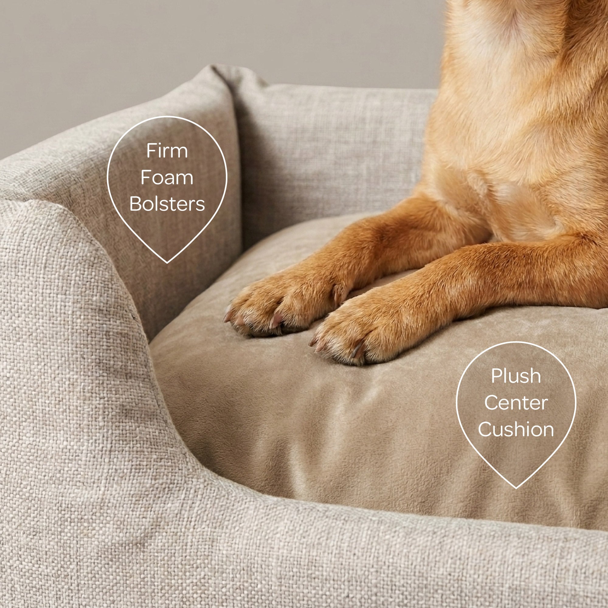 Sansa Modern Pet Bed – Structured Foam & Velvet, S/M/L
