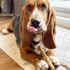 Small Coffee Wood Chew