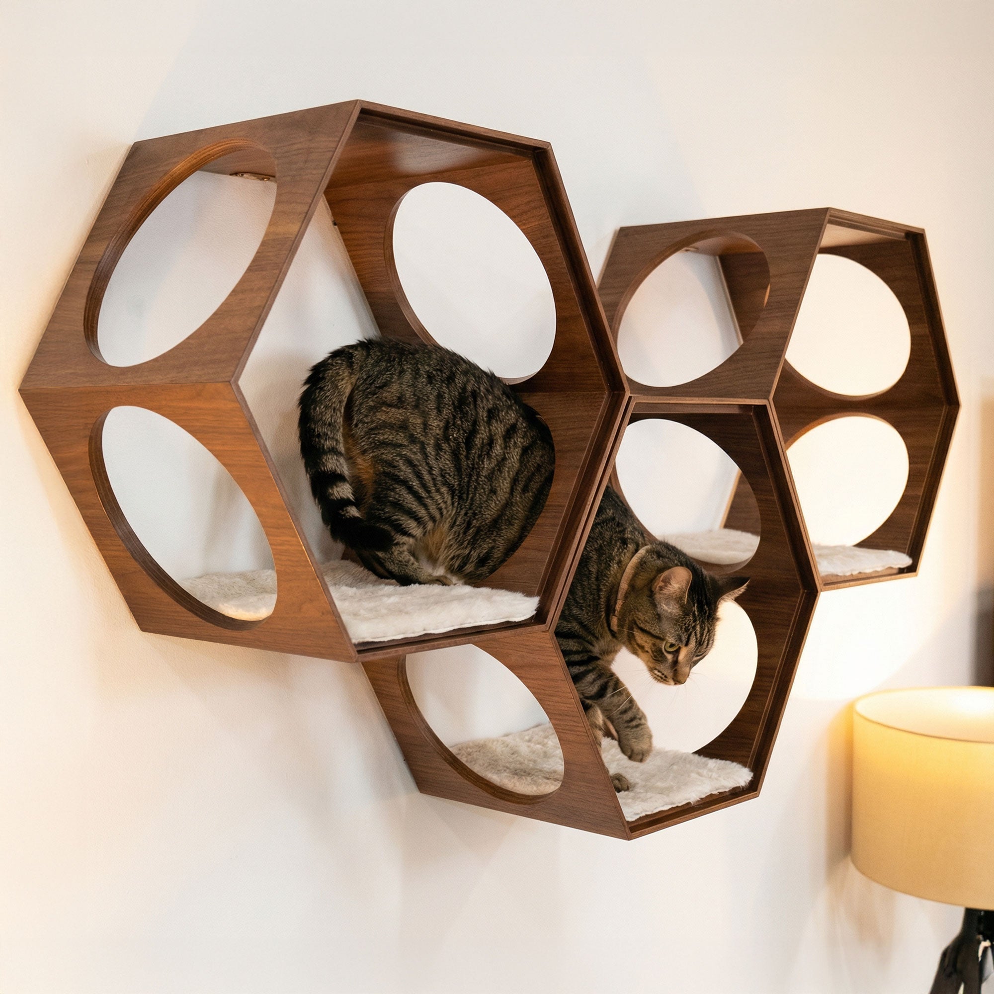 Suki Cat Wall Shelf & Side Table – Walnut, Oak & White