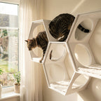 suki cat stool and shelf