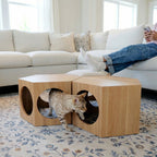 suki cat stool and shelf