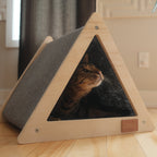 The Urban Pet House