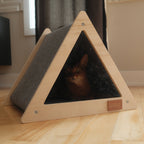 The Urban Pet House