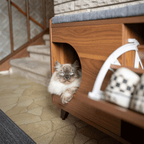 Tucker Shoe Cabinet & Pet Nook – Entryway Storage with Bench