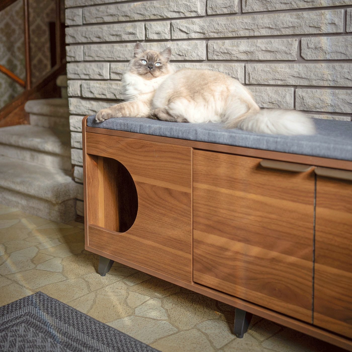tucker shoe cabinet & pet nook
