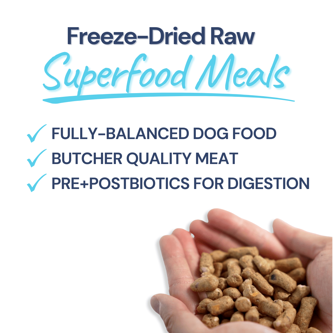 Freeze-Dried Raw Turkey Meal Bites