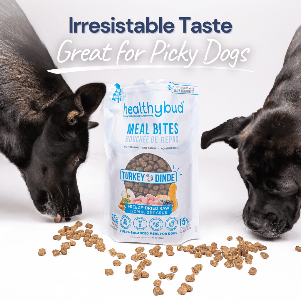Freeze-Dried Raw Turkey Meal Bites
