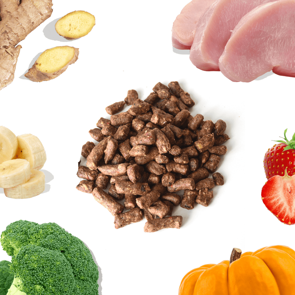 Freeze-Dried Raw Turkey Meal Bites