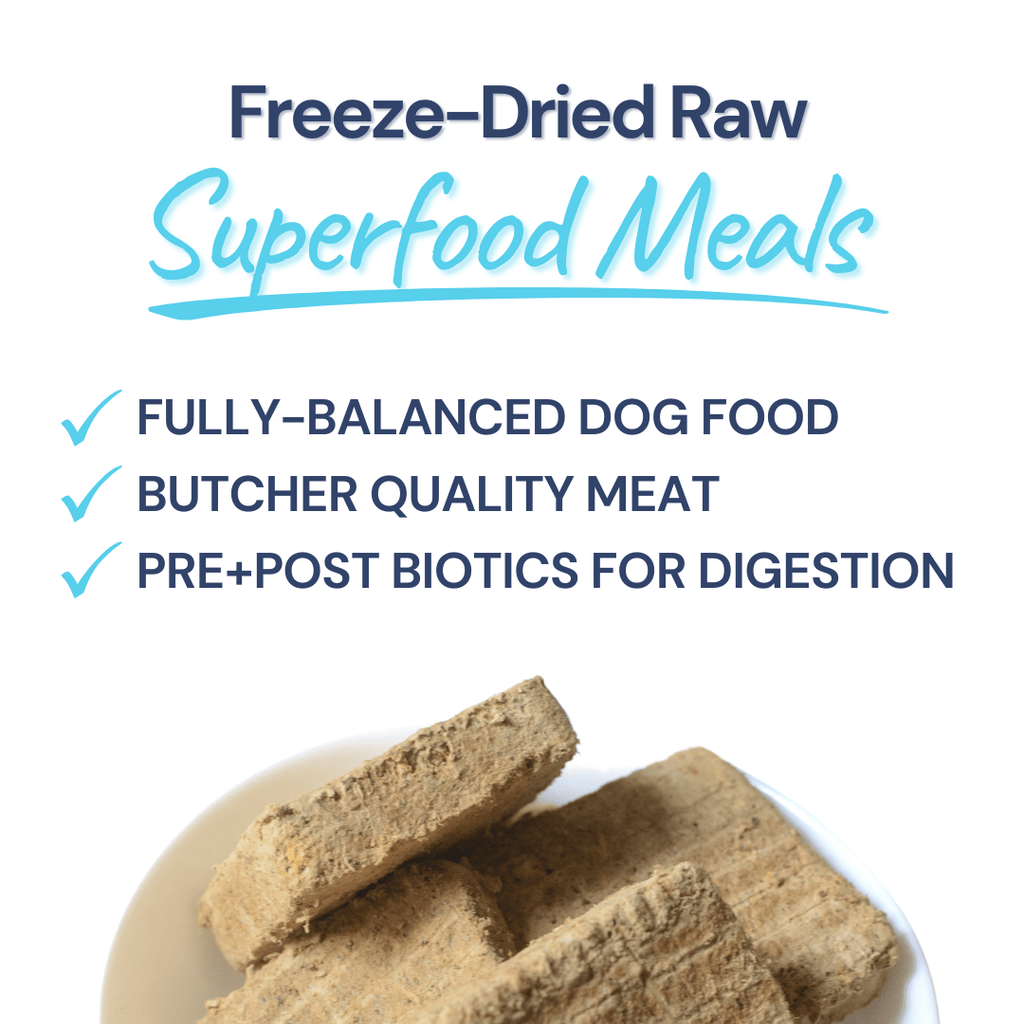 Freeze-Dried Raw Turkey Meal Patties
