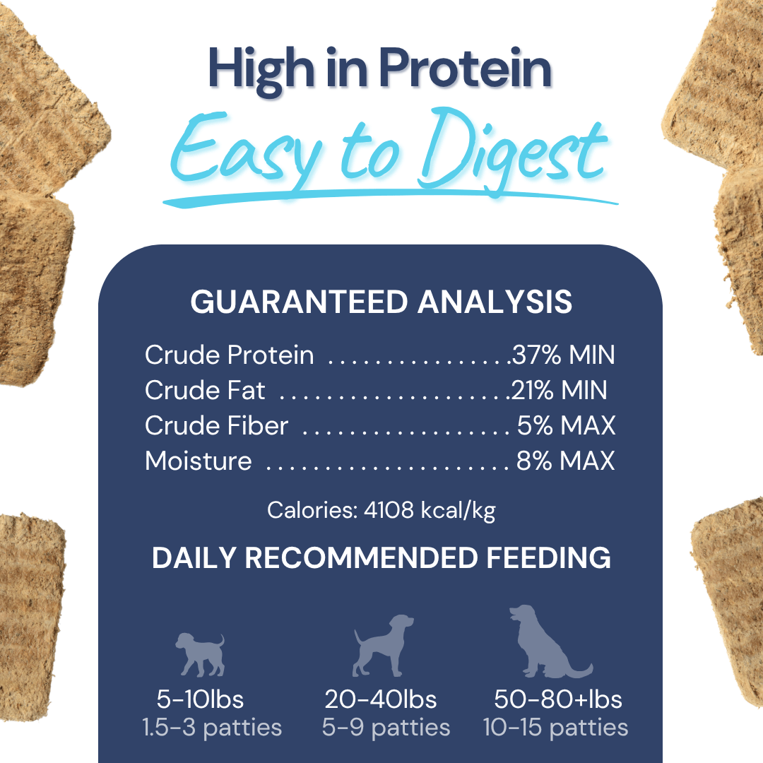 Freeze-Dried Raw Turkey Meal Patties