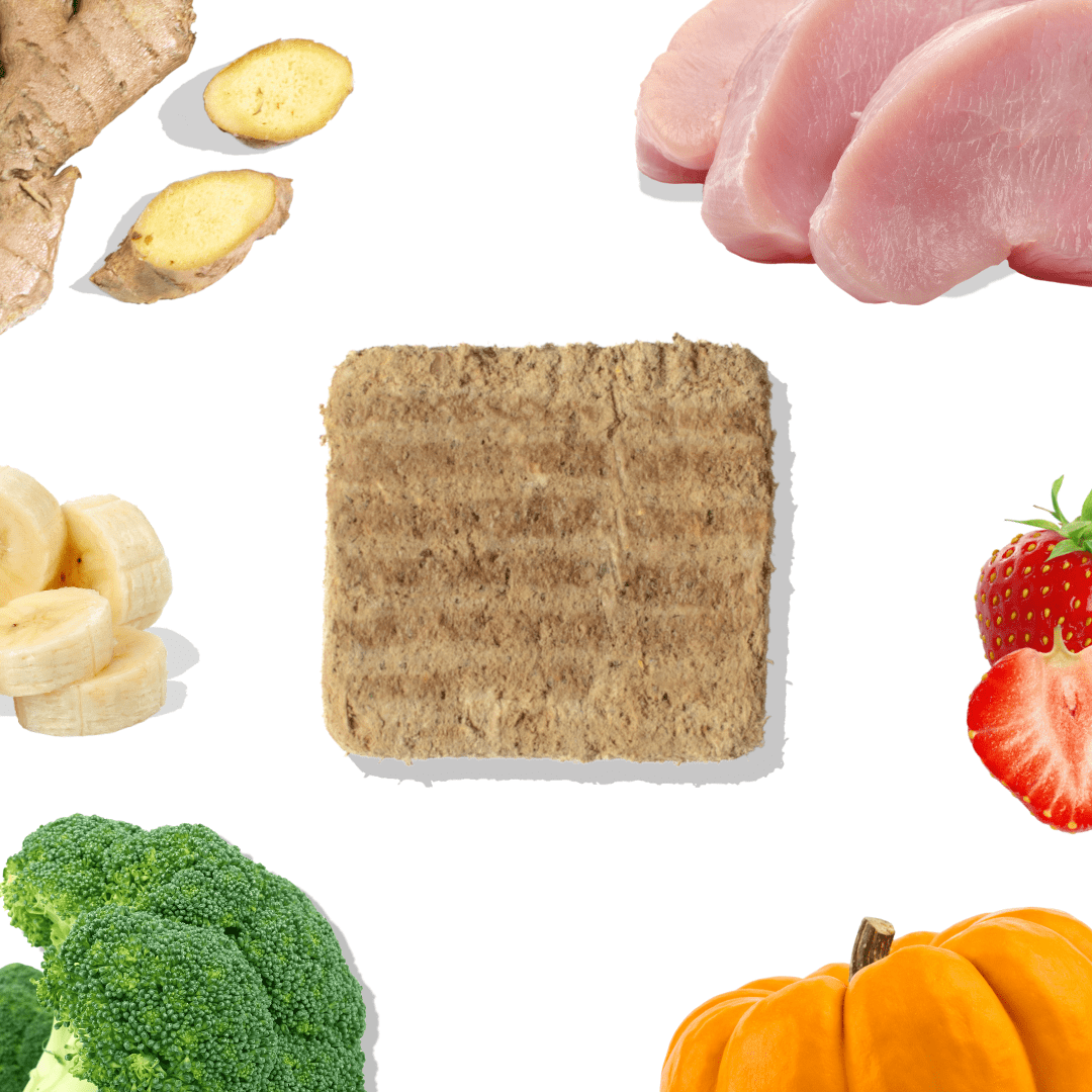 Freeze-Dried Raw Turkey Meal Patties