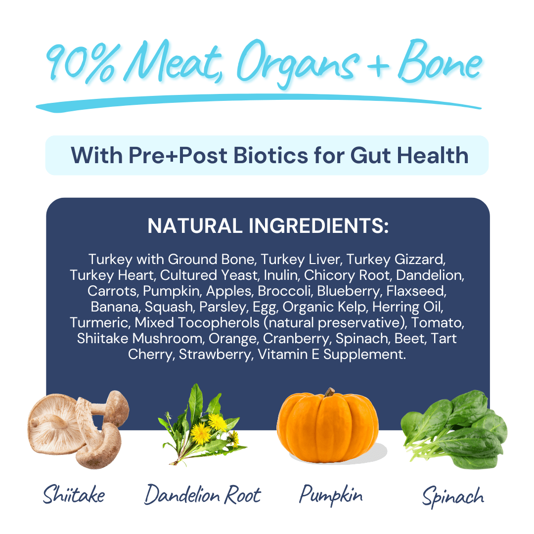 Freeze-Dried Raw Turkey Meal Bites