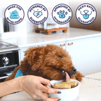 Freeze-Dried Raw Turkey Meal Patties