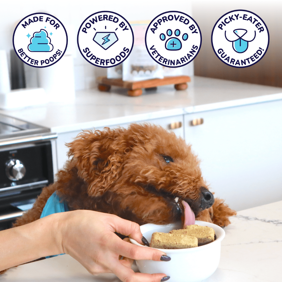 Freeze-Dried Raw Turkey Meal Patties