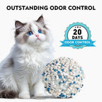 Noisylion Natural Cassava Cat Litter – Unscented, Low-Dust