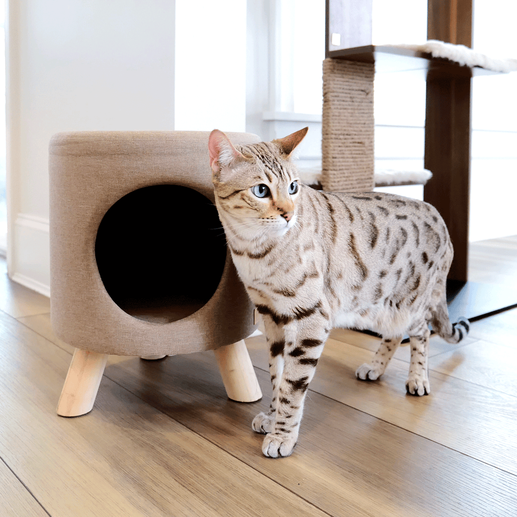 wallie pet stool