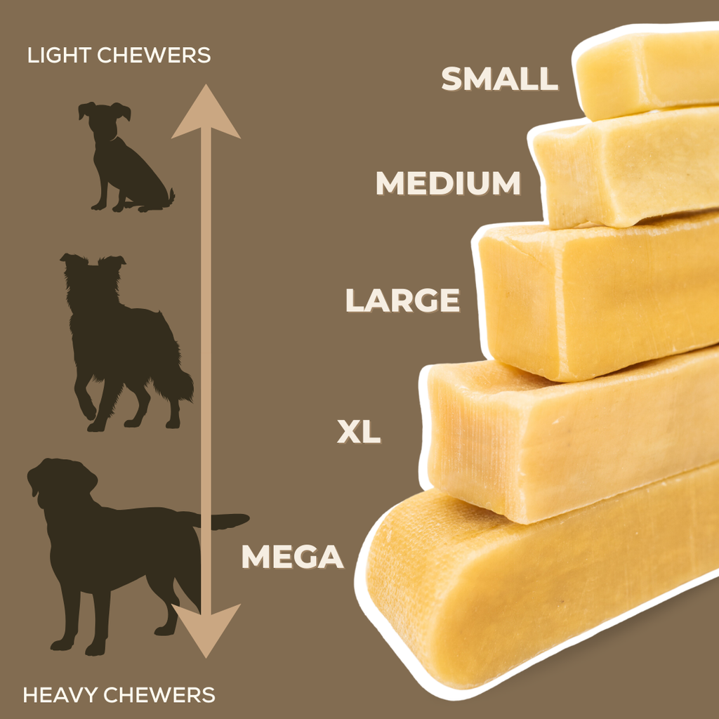 Bully Bunches Blueberry Himalayan Yak Chew – Medium