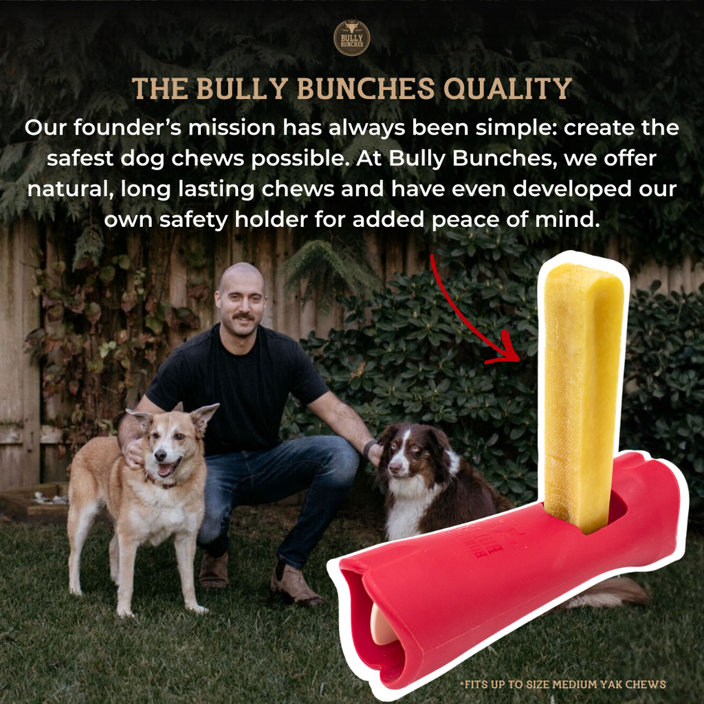 Bully Bunches Blueberry Himalayan Yak Chew – Medium