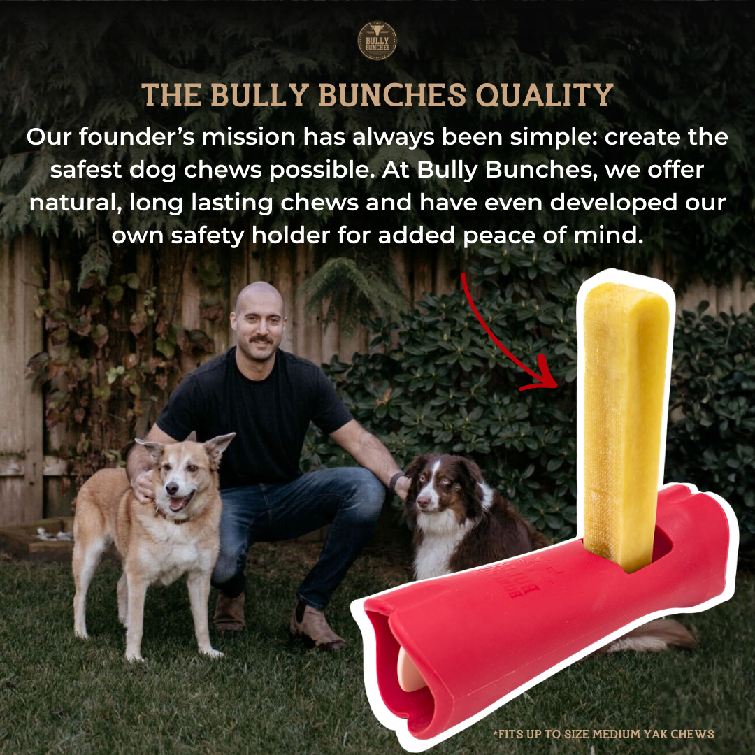 Bully Bunches Blueberry Himalayan Yak Chew – Medium